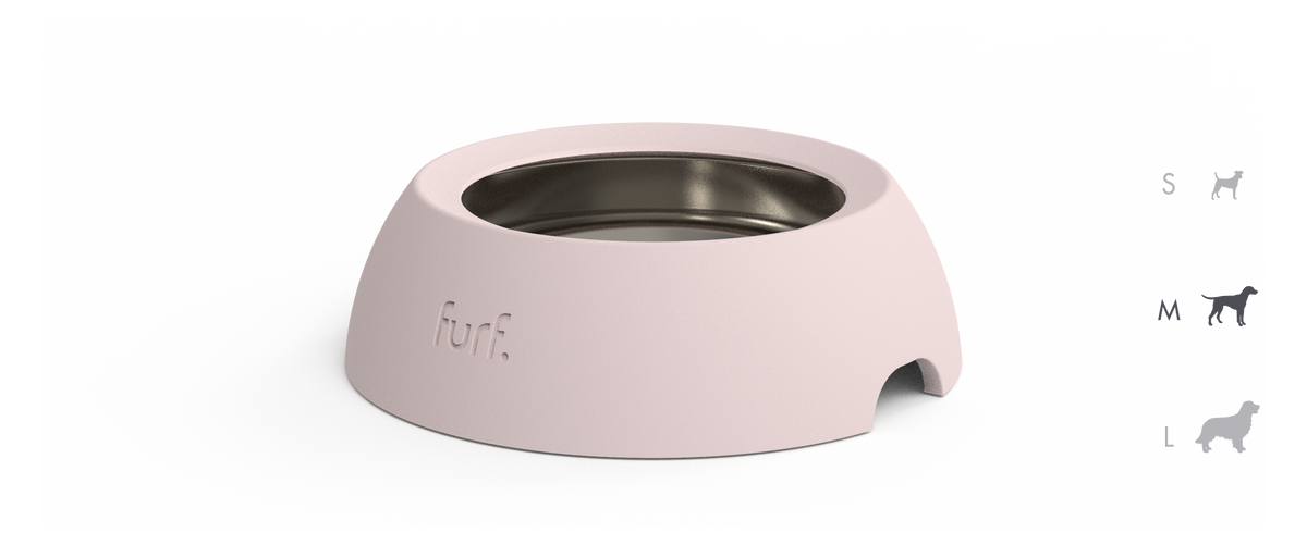 spill resistant pet bowl